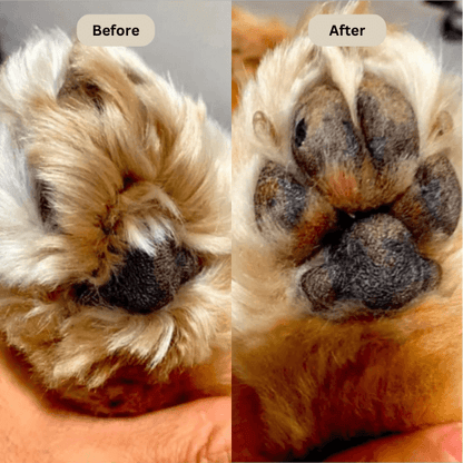 Pawsfamilyco Electric Fur Trimmer