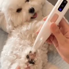 Pawsfamilyco Electric Fur Trimmer